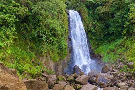 Waterfall In Martinique Caribbean Stock Image Image Of Rainforest