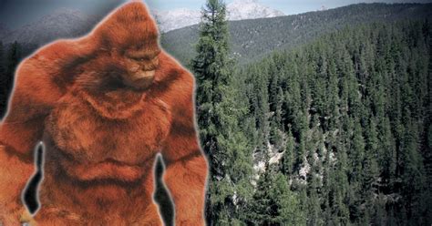 Alleged Sighting Of Bigfoot Leads To Shots Fired At Kentucky National Park