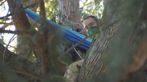 Photos Activist Camps Out In Wedgwood Tree Slated To Be Chopped Down