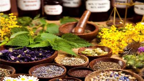 ¿qué Es La Homeopatía Excelente Alternativa De Tratamiento El