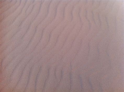Free Images Nature Sand Wing Wood Texture Floor Pattern Line