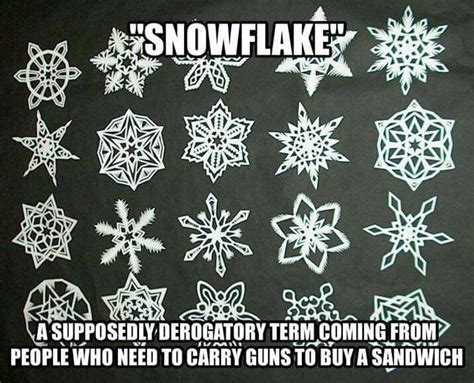 Take It Easy On Gun Owners They Are Gentle Snowflakes In Need Of Safe