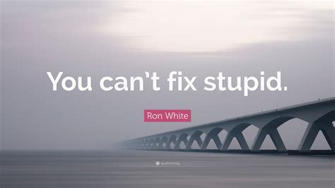 Ron white > quotes > quotable quote. Ron White Quote: "You can't fix stupid." (12 wallpapers) - Quotefancy