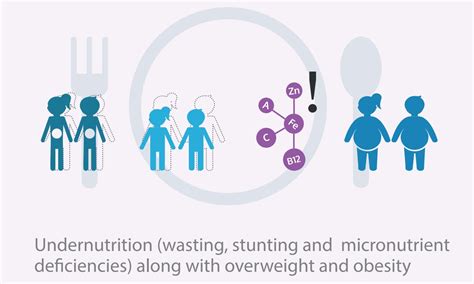 new policy briefs double duty actions for nutrition and the double burden of malnutrition