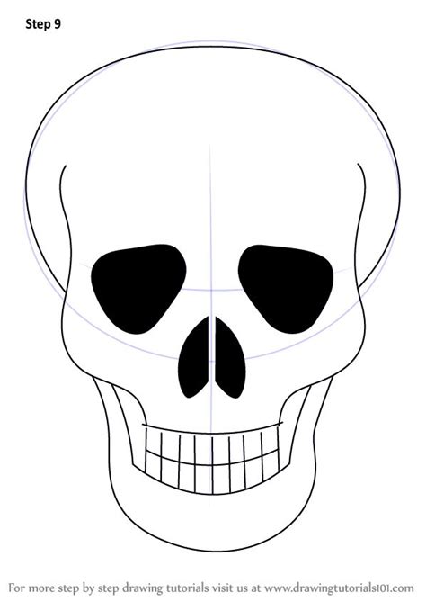 Learn How To Draw Skull Easy Skulls Step By Step Drawing Tutorials