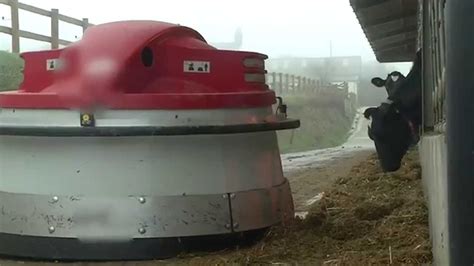 Robots Take Over The Dairy Farm Youtube