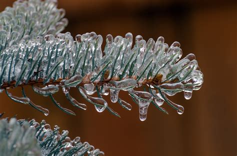 How Freezing Rain Can Damage Your Home K Guard Rocky Mountains