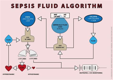 Sepsis Fluid Algorithm
