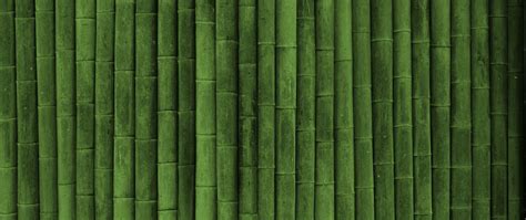 Bamboo 4K Wallpapers Top Free Bamboo 4K Backgrounds WallpaperAccess