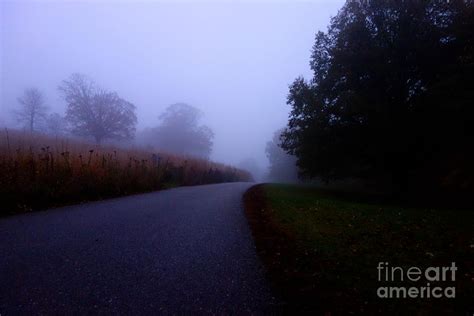 Moody Autumn Pathway Photograph By Jacqueline Athmann Fine Art America