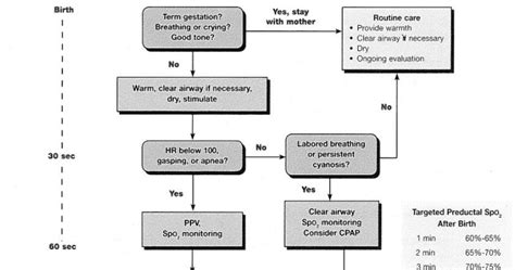 Ourmedicalnotes Neonatal Resuscitation