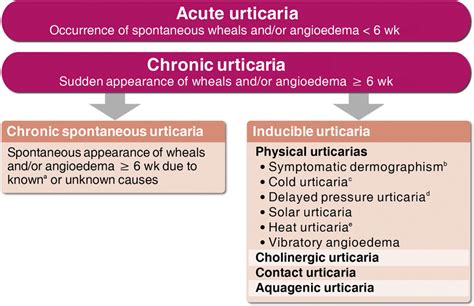 Urticaria Classification