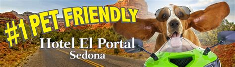 Bring your pet along for your smoky mountain adventure. Pet Friendly Sedona Hotel |Dog Friendly Sedona | El Portal ...