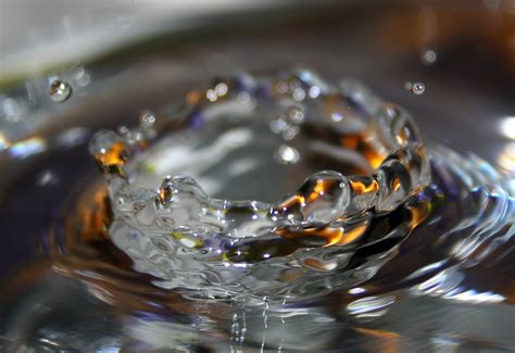 Free Images Art Water Macro Photography Close Up Drop Glass