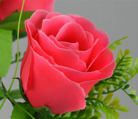 Roses rose love flowers flower beautiful beautiful flowers nature bloom garden romance romantic blossom red roses flora baby close up red rose rose flowers blooming love wallpaper flower wallpaper heart rose. Best of Gulab Ful Ka Photo Hd - flowers pictures