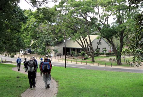 Select from premium parramatta park of the highest quality. Parramatta Park (2) | Our Walks