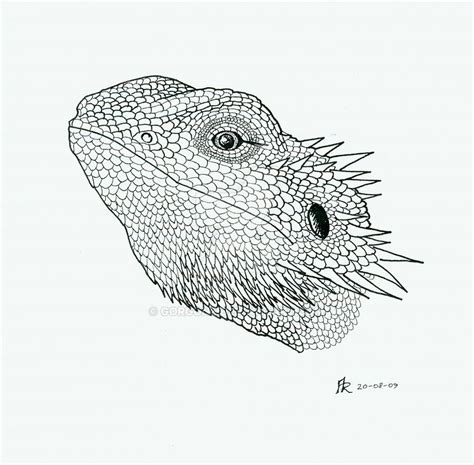 Bearded Dragon Sketch Wip 2 By Obsessiongecko On Deviantart Artofit