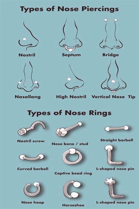 Types Of Nose Piercings Types Of Nose Rings Info Graphic Chart Diagram My Xxx Hot Girl