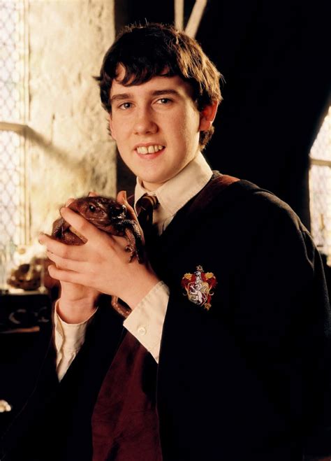 Portrait Of Neville Longbottom — Harry Potter Fan Zone