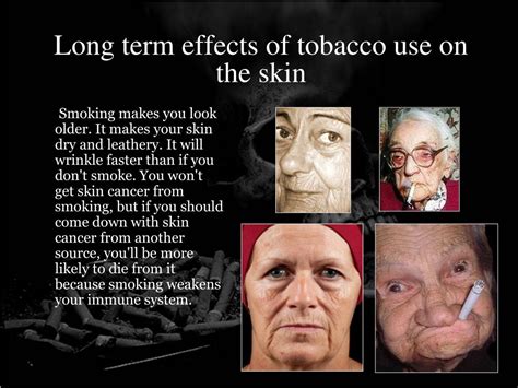 Ppt Tobacco Powerpoint Presentation Free Download Id5766548