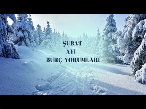 ASLAN BURCU ŞUBAT AYI ÖNGÖRÜLERI FK AstroTarot YouTube