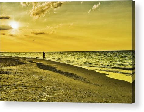 Man Walking On Beach At Sunset Acrylic Print By Vivida Photo Pc