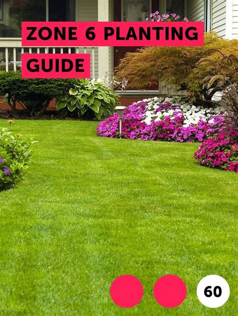 Learn Zone 6 Planting Guide How To Guides Tips And Tricks Plants