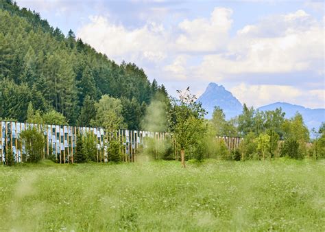 Wichtig ist eine möglichst entspannte lagerung der wirbelsäule und eine geradlinige kontur des ganzen oberkörpers, die nicht verbogen oder verdreht ist und die letztlich dem natürlichen zustand im stehen entspricht, so dr. Die Grüne Erde ist ein wenig „anders" und neu | Transsolar ...