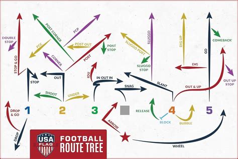 Guide To The Ultimate Flag Football Routes Tree Flagspin Flag