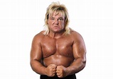 Greg Valentine | Greg valentine, Johnny valentine, Wwe champions