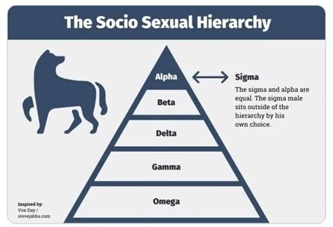 The Lone Wolf Who Is He The Sigma Male Personality Traits You Need To