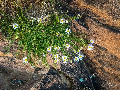 A hike to the living room in the salt lake city foothills. Living Room Hike In Salt Lake City | How To Not Get Lost