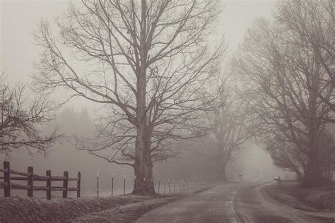 Foggy Country Road Photograph By Joni Eskridge