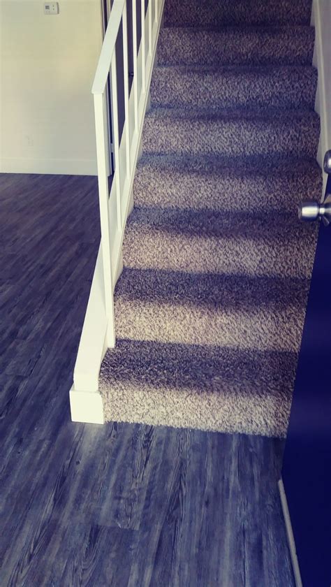 Do your carpets need a little tlc? ThePlumbers.Org - Weekend grind #Theplumbers.org #plumbing...