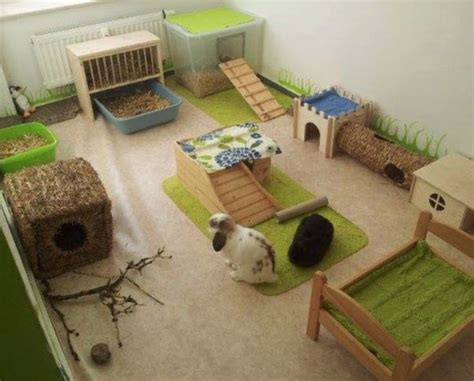 Rabbitat Heavenideas To Make Your Rabbits Living Space Amazing