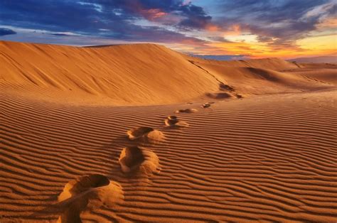 Desiertos Naturales En El Mundo Vs Desertificación