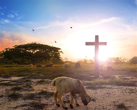 Passover And How Jesus The Lamb Of God Is Its Fulfilment Pollards