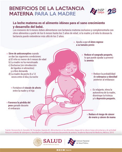 Beneficios De La Lactancia Materna Exclusiva Lactancia Materna The