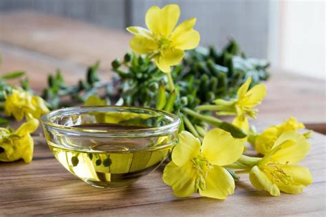 Evening primrose oil may also be included in products that are applied to the skin. Organic Evening Primrose Oil