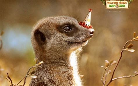 Hoy comenzamos a celebrar una semana llena de sorpresas para uno de nuestros más emblemáticos embajadores de la naturaleza. Buin Zoo Print Advert By Porta: Meerkat | Ads of the World™