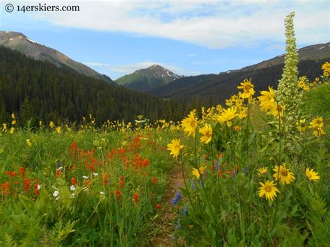 Best Wildflower Hikes In Crested Butte