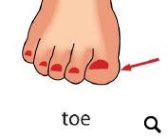 Maybe you would like to learn more about one of these? Body Parts Flashcards: Part 4