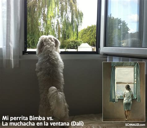 La propia compañía, temerosa de la reacción de una prensa especializada consciente de los problemas de su producción, no ha levantado el embargo de críticas hasta poco antes de su aterrizaje a la plataforma. Mi perrita Bimba vs. "La muchacha en la ventana" (Salvador ...