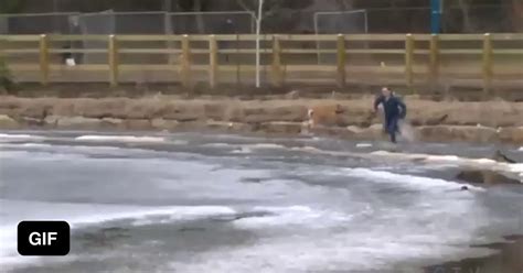 Man Jumps Into Freezing Pond With No Hesitation To Save His Pup 9gag