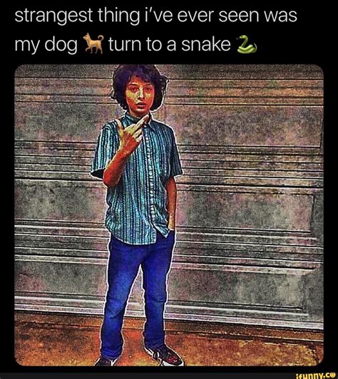 Strangest Thing Ive Ever Seen Was My Dog H Turn To A Snake L Ifunny