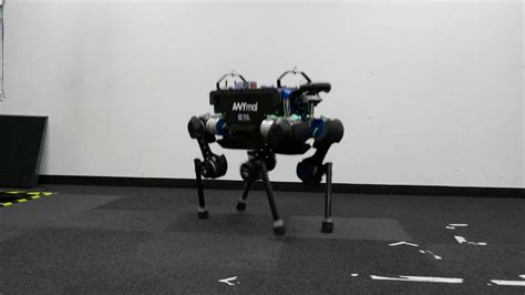 Online Motion Optimization And Whole Body Control For Quadrupedal