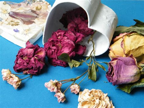 Dried and silk flowers add beauty to a room but are terrible dust catchers. Memories box with dried roses and pressed flowers on ...
