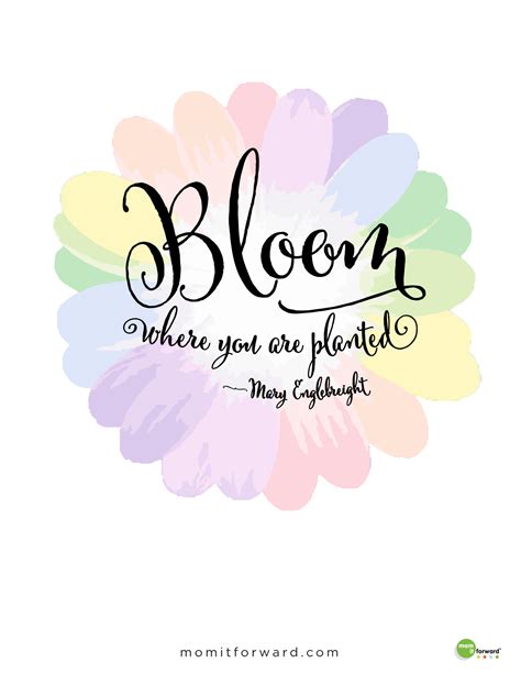Quote Bloom Where You Are Planted Mom It Forwardmom It Forward