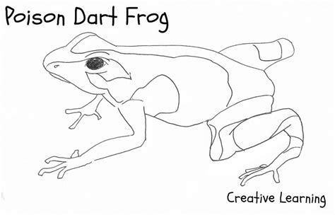 Pasco poison dart frog (coloring page) i abcteach.com. Free Printable Frog Coloring Pages For Kids