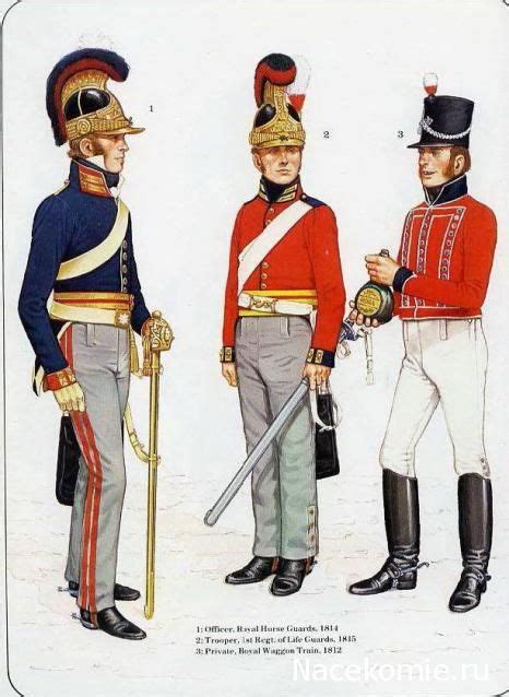 Наполеоновские войны Планшеты British Army Uniform British Uniforms First French Empire